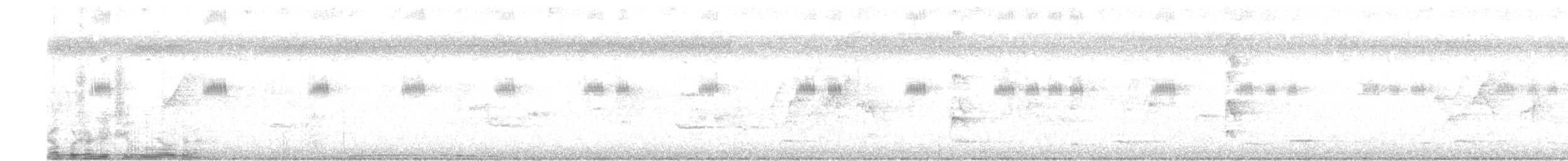 Black Wood-Pigeon - ML645422142