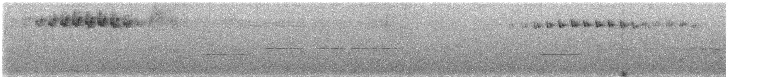 Blackpoll Warbler - ML645422560