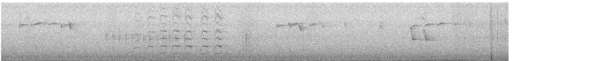 Torcicollo - ML645424486