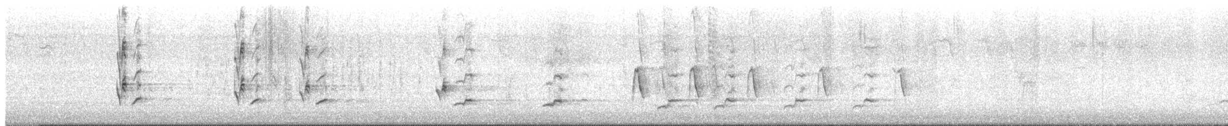 Northern Mockingbird - ML645424552