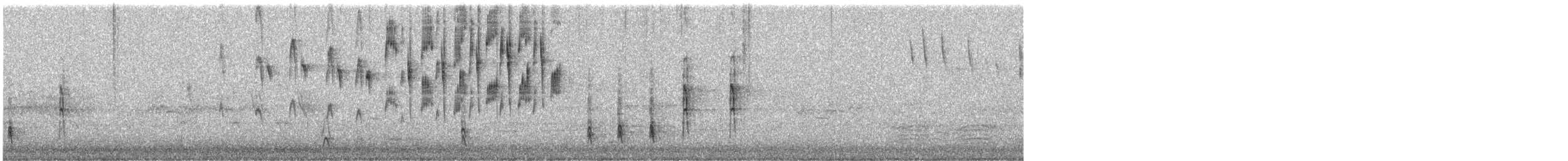 Superb Fairywren - ML645424672