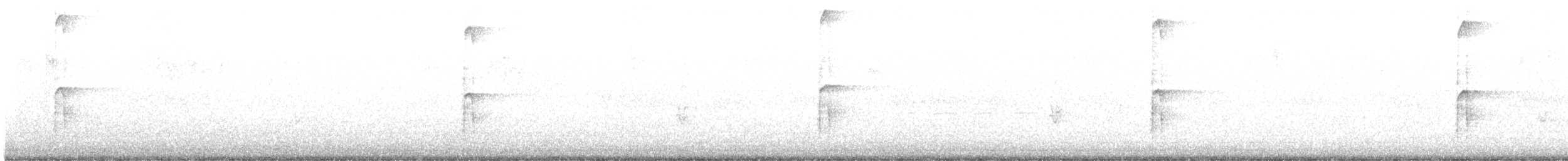 Hairy Woodpecker (Pacific) - ML645424710