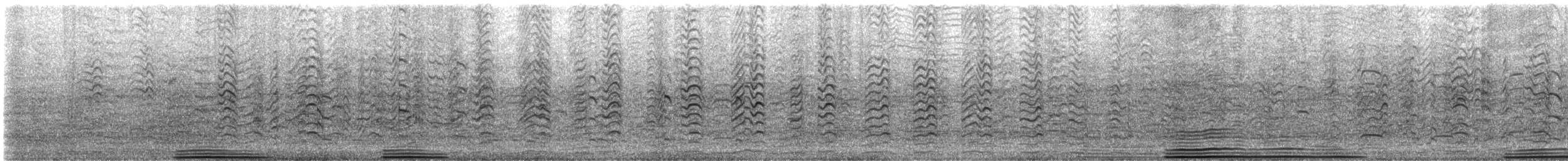 Pelagic Cormorant - ML645424770