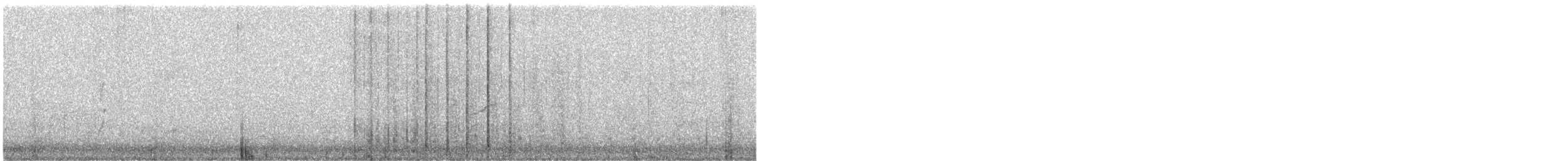 Piccione domestico - ML645424895