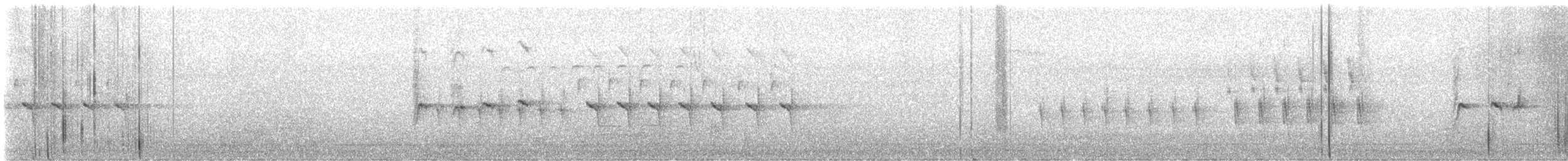 Crociere comune - ML645424902