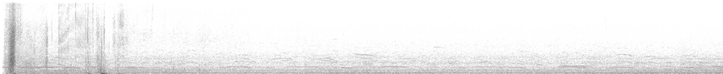 Tufted Puffin - ML645424971