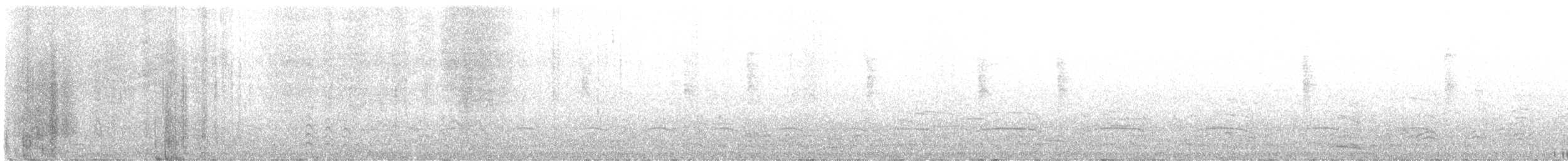 Tufted Puffin - ML645425091