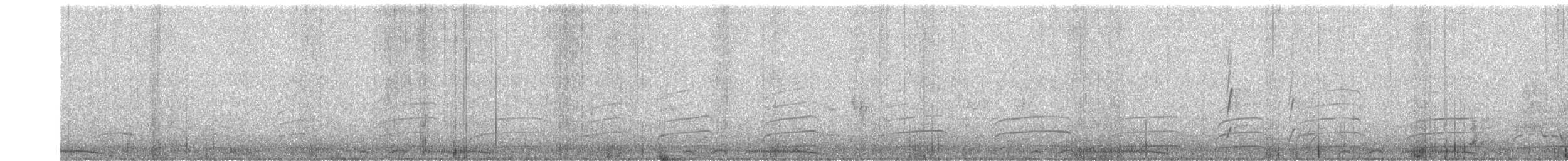 Spotted Dove - ML645425129