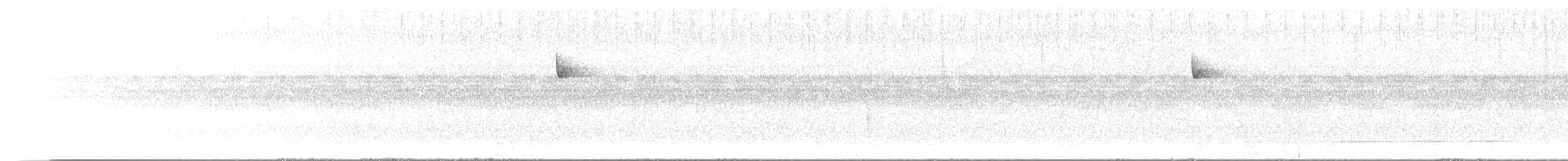 Western Flycatcher (Cordilleran) - ML645425134