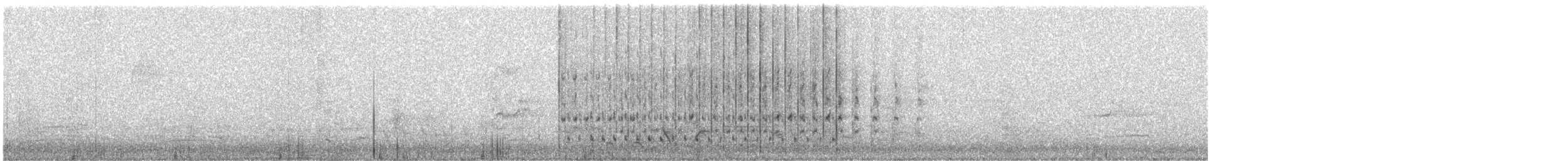 Crested Pigeon - ML645425147