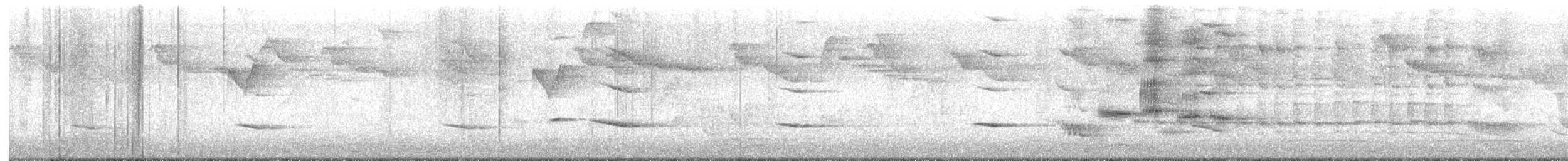 Black-collared Starling - ML645425284