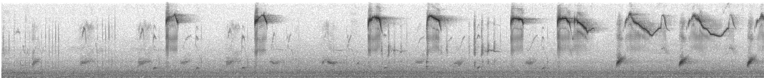 Storno - ML645425905