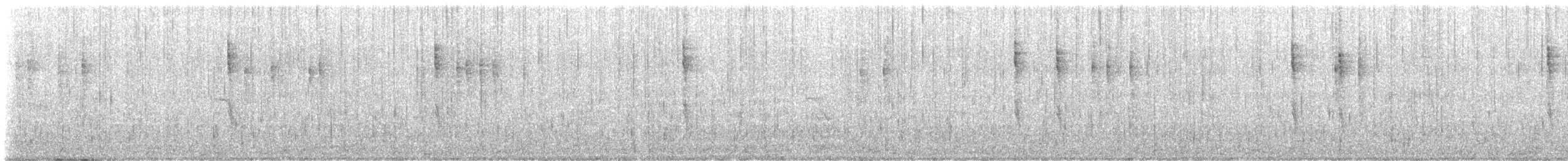 Pacific Wren - ML645426019