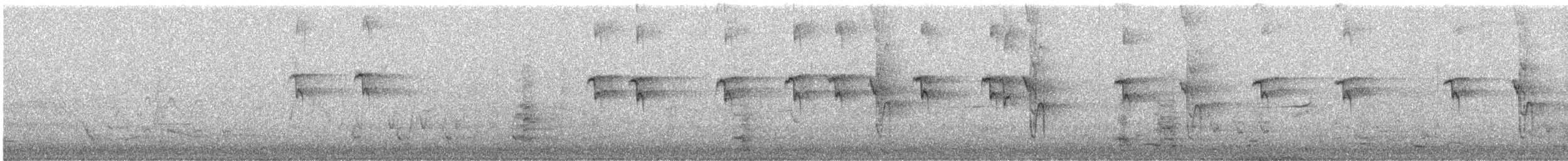 Periquito Elegante - ML645426119