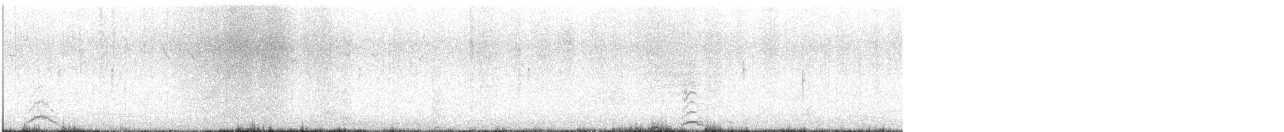 Cisne Chico (neártico) - ML645426123