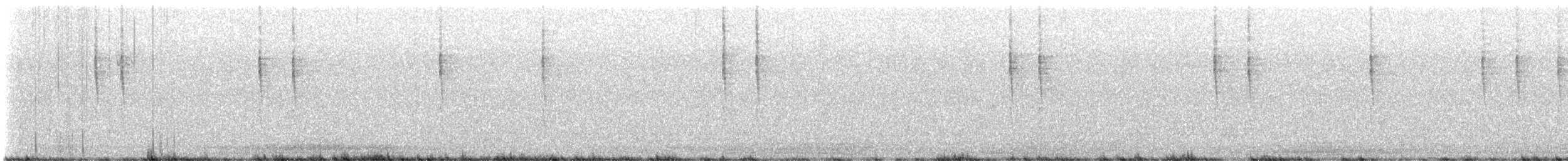 Pacific Wren - ML645426247