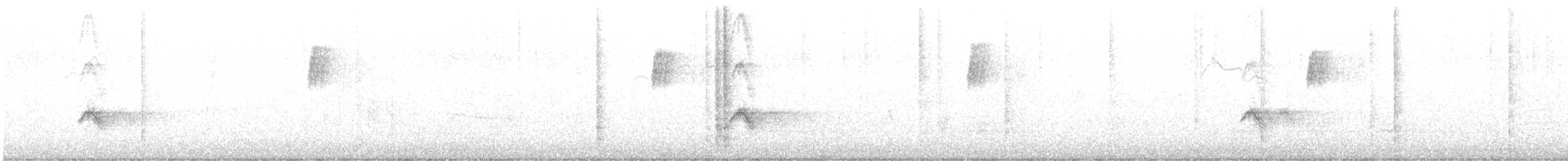 dlask žlutočelý - ML645426273