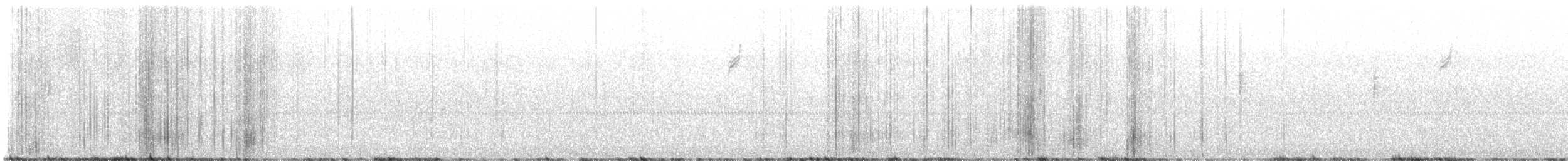 MacGillivray's Warbler - ML645426606