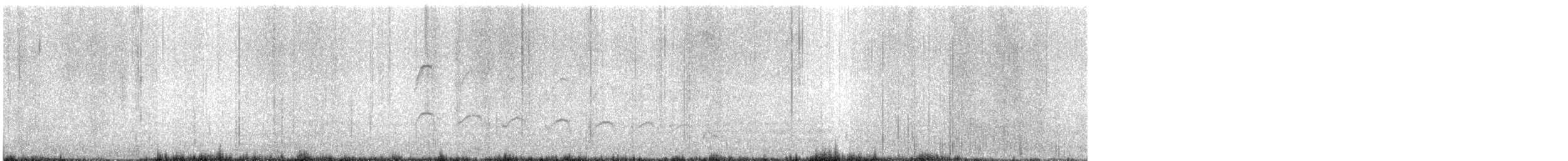 Anairetes sp. - ML645427939