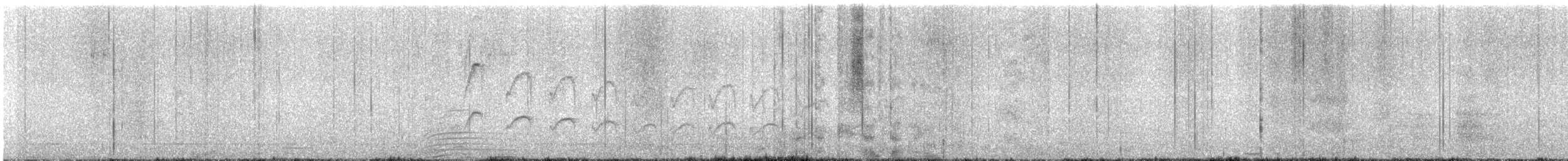 Anairetes sp. - ML645427940