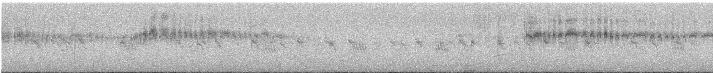 Andean Swift - ML645428260