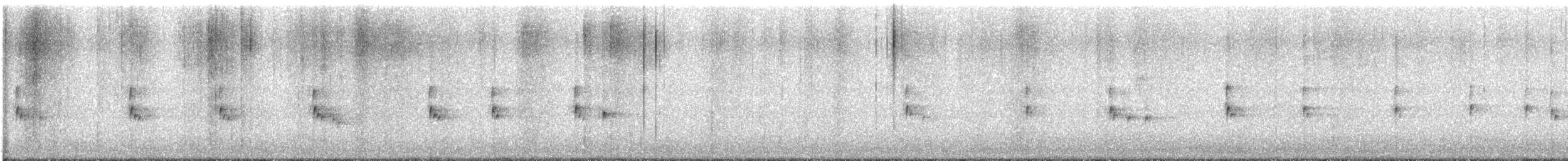 Carolina Wren - ML645428330