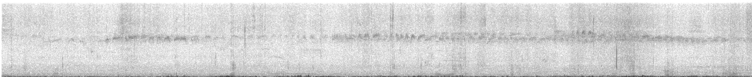 Andean Swift - ML645428462