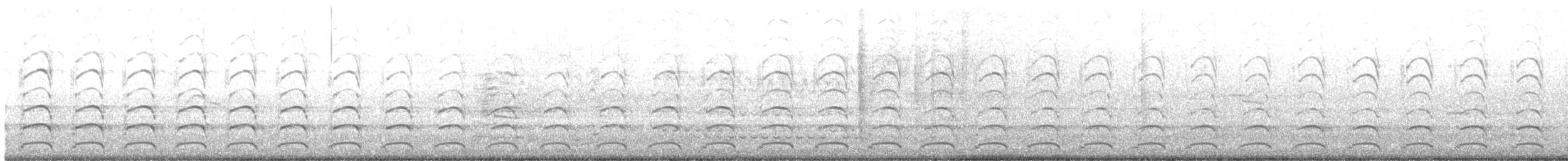 Western x Glaucous-winged Gull (hybrid) - ML645429375