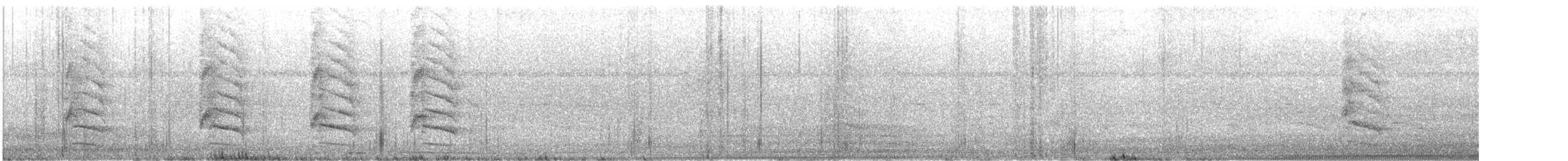 Brown Jay - ML645429765