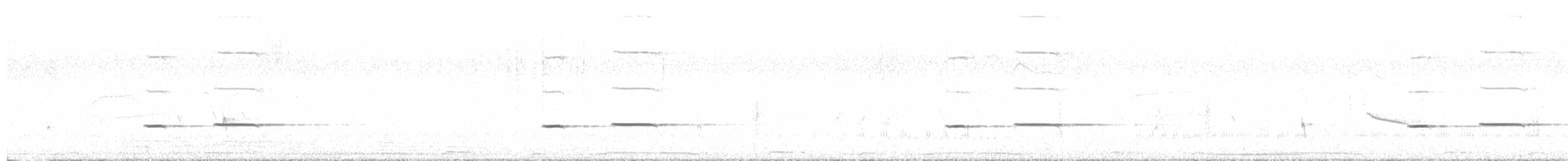 Striped Cuckoo - ML645429814