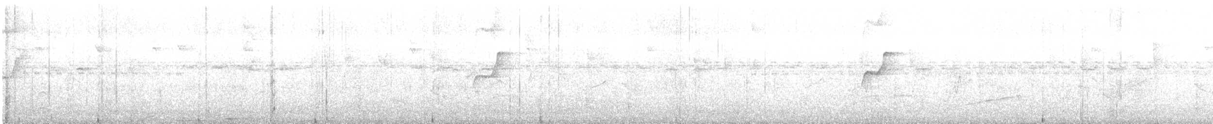 Western Flycatcher - ML645430130