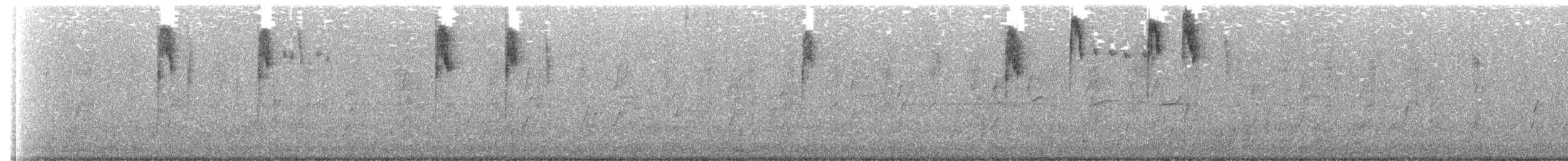 Superb Fairywren - ML645430235