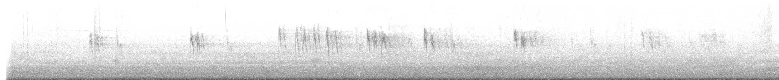 White Wagtail - ML645430281