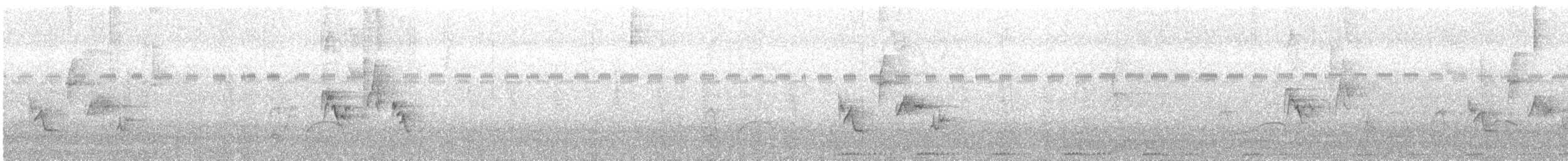 Orange-billed Nightingale-Thrush - ML645430449