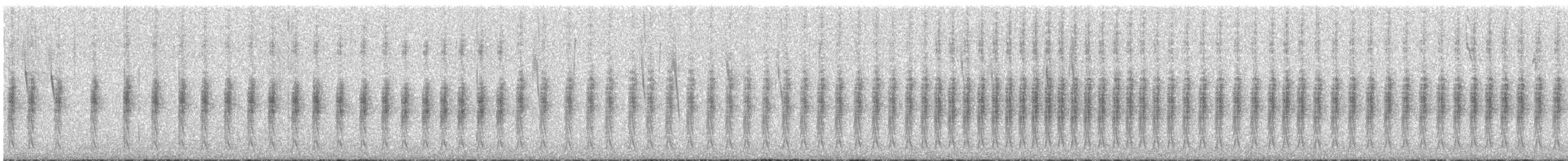 Пёстрый норник - ML645431022
