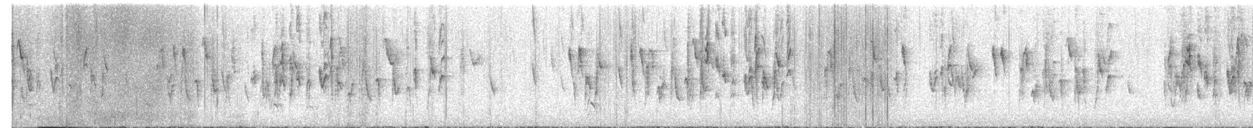 Giant Conebill - ML645431072