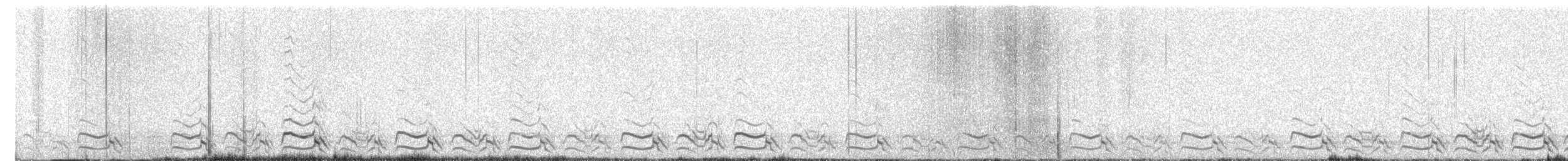 Puna Tinamou - ML645431184