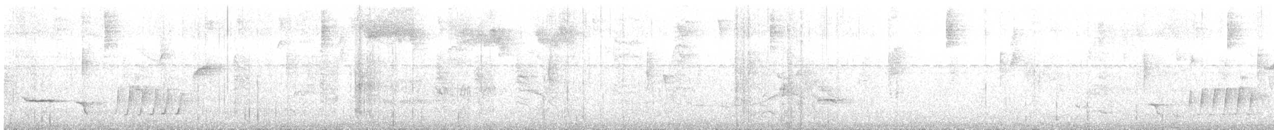 Sinaloa Wren - ML645431502