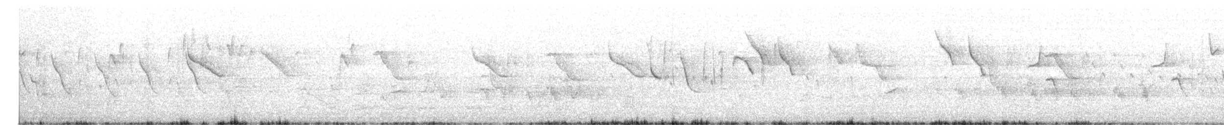 Chestnut-rumped Thornbill - ML645431543