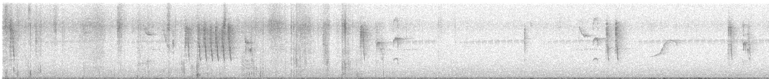 Gray-breasted Prinia - ML645431548