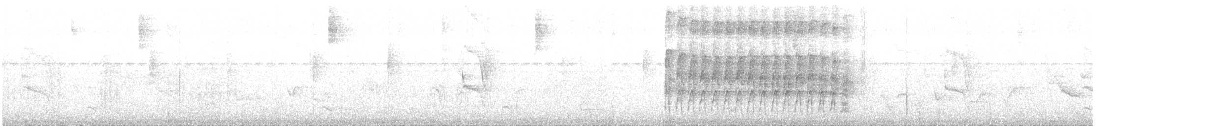 Pic arlequin - ML645431585