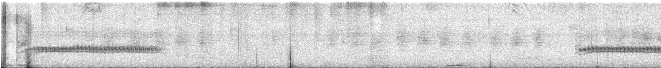 Olivaceous Woodcreeper - ML645431624