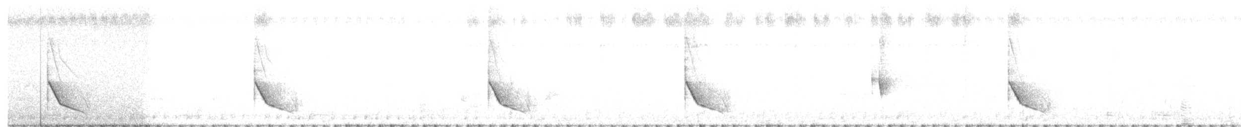 Black-backed Puffback - ML645431722