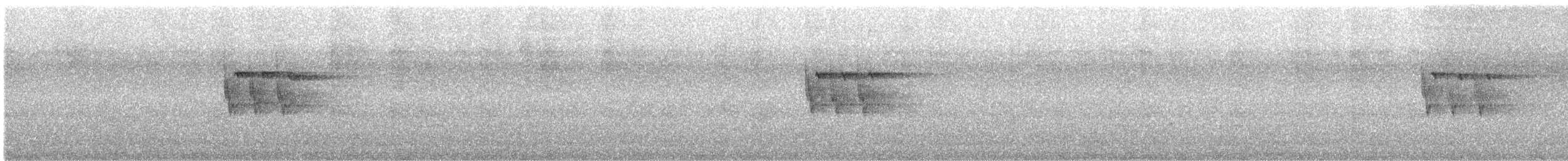 Ashy Prinia - ML645432186