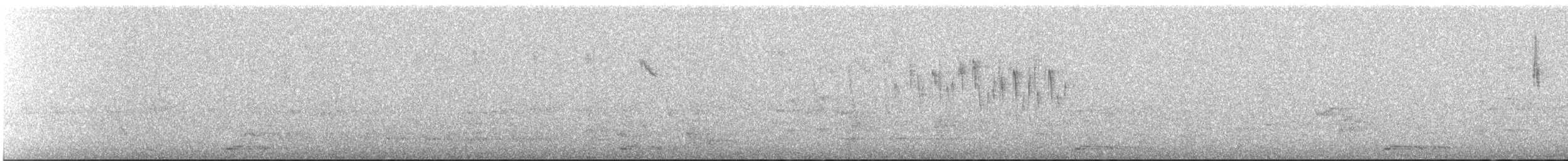 Purple-backed Fairywren - ML645432328