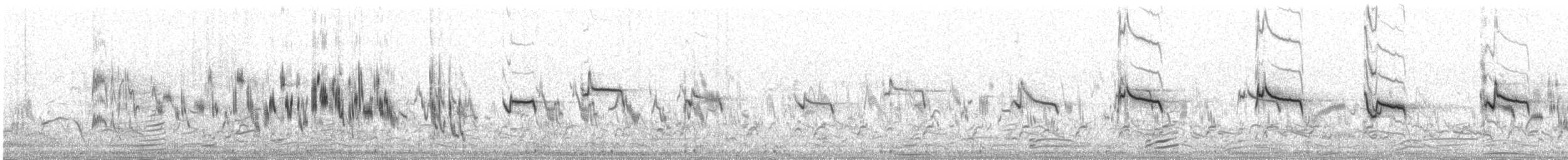 Txoriandre mongoliarra - ML645432399