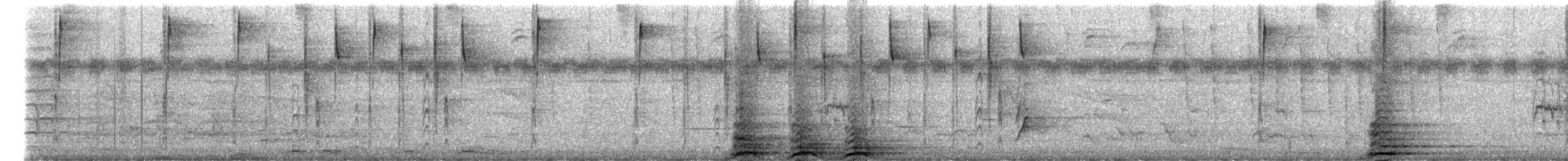 Stripe-headed Sparrow - ML645432474