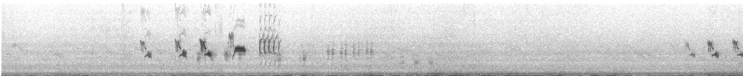 Zingira-berdantza eurasiarra - ML645432529