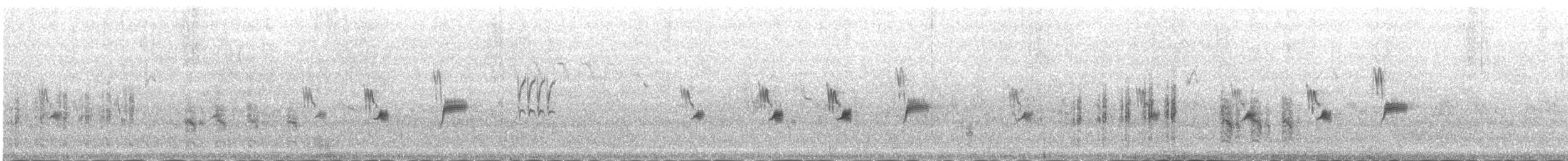 Zingira-berdantza eurasiarra - ML645432595