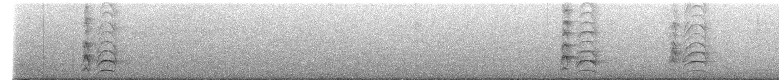 Great Kiskadee - ML645432602